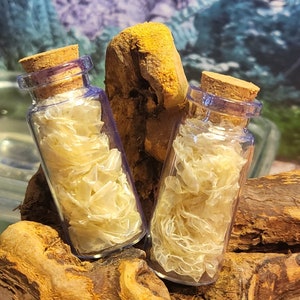 Peau de serpent - Véritable remise naturelle - Wicca - Hoodoo - Vaudou - Sorcellerie - Sorts - Rituels - Païen - Fonctionnement spirituel - Outils d'autel