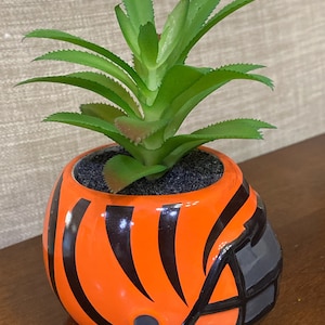 Pode incluir: Uma pequena planta suculenta em vaso em um vaso de cerâmica em forma de capacete de futebol americano. O capacete é laranja com listras pretas e uma máscara facial preta.
