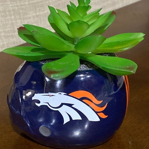 May include: A small succulent plant in a blue and orange ceramic pot shaped like a football helmet with a white and orange Denver Broncos logo.