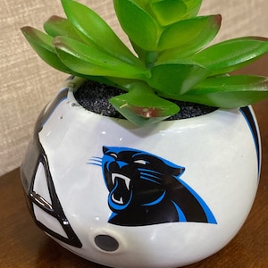 May include: A white football helmet planter with a black panther logo and a blue outline. The planter is filled with a green succulent plant.