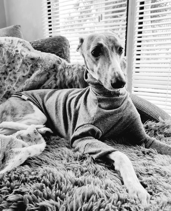 Whippet Greyhound Sighthound Jumper Fine Knit Available in 5