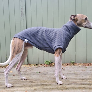 Whippet Greyhound Sighthound quilted sweatshirt. Made to measure. Other colours available