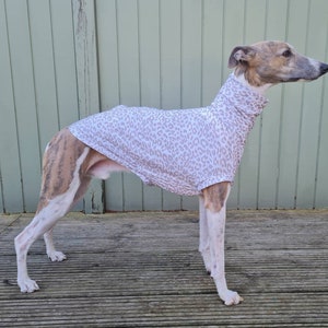 Whippet Greyhound Sighthound legless t shirt. Faded leopard. Made to measure