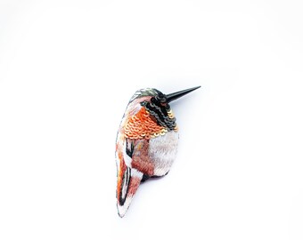 download kolibri by_johanna download kolibri by_johanna