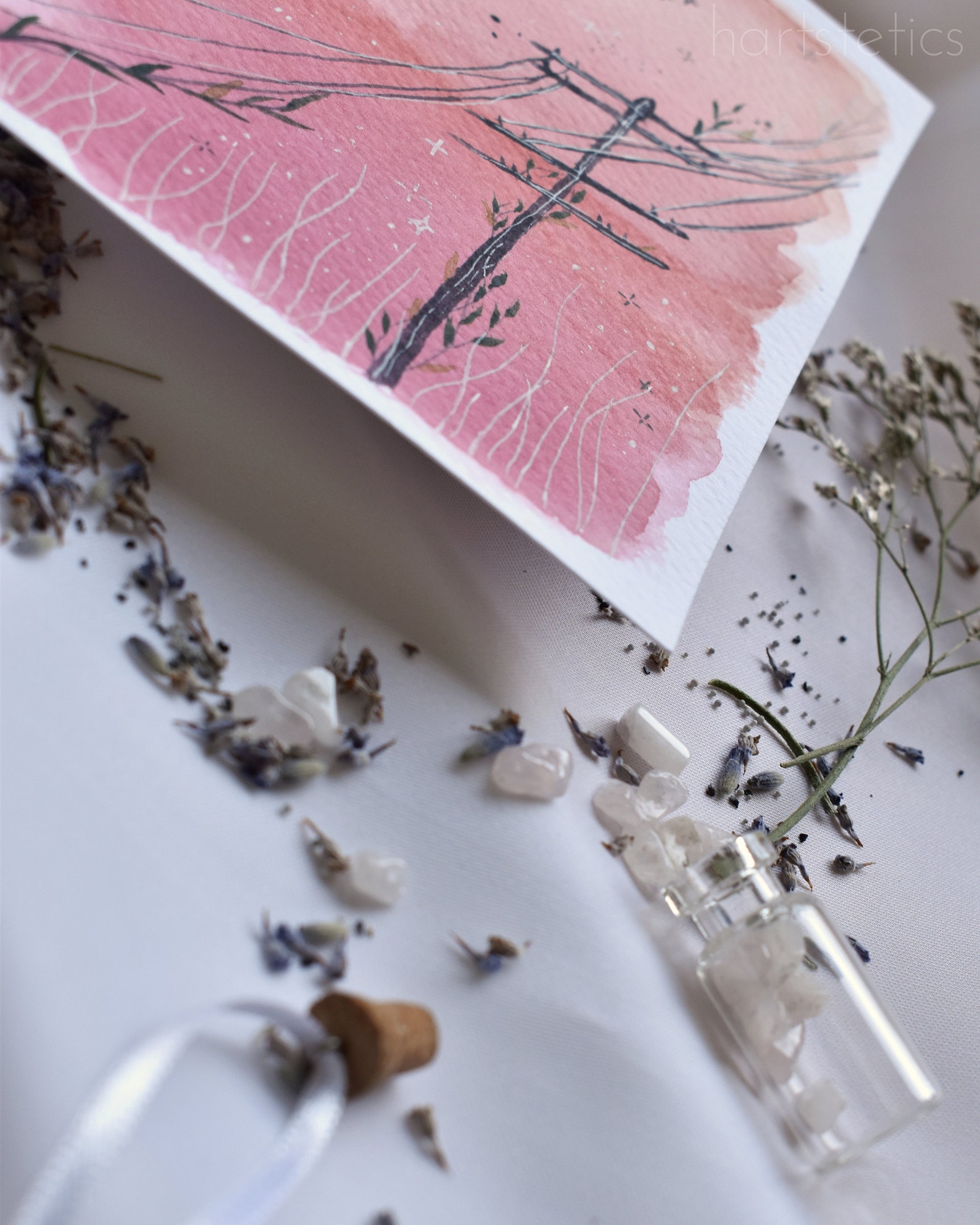 LoFi Pfirsich Himmel Farbverlauf mit einer Botanischen Etsy