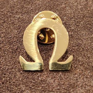 May include: A gold-colored metal pin in the shape of the Greek letter Omega (Ω). The pin has a polished finish and a standard pin back. The pin is set against a brown, textured background.
