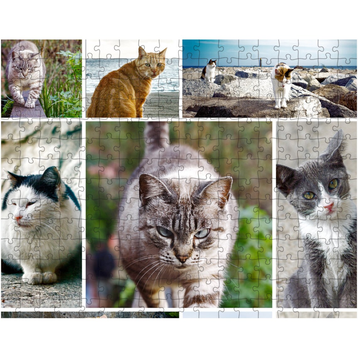 Photo Collage Puzzle Personalized Puzzle Adult ...