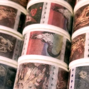 Animal Skull Stamp Horror Washi Tape