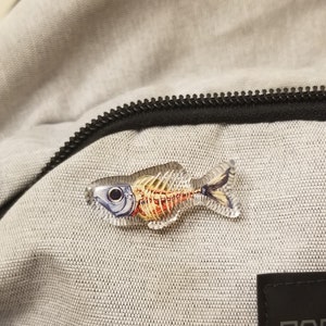 Cleaned Fish Acrylic Pin 1.5in image 1