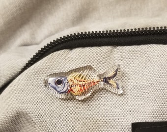 Cleaned Fish Acrylic Pin 1.5in