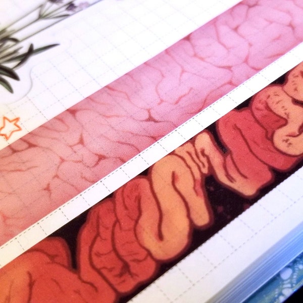 MIND & MATTER Horror Washi Tapes