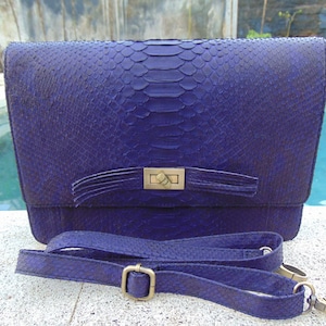 Handgemachte echte Python Schlangenhaut Leder Katzentasche - Einzigartige Luxushandtasche & Geldbörse