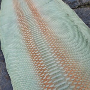 Piel de pitón auténtica de 59 pulgadas, cuero genuino para bolsos y chaquetas.