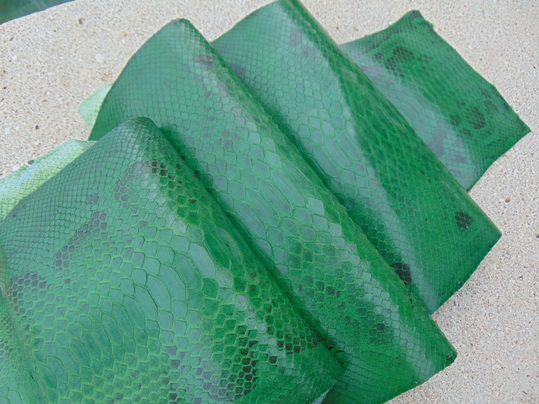 48 Inch Genuine Curtus Short Tail Python Snake Skin Hide Real - Etsy