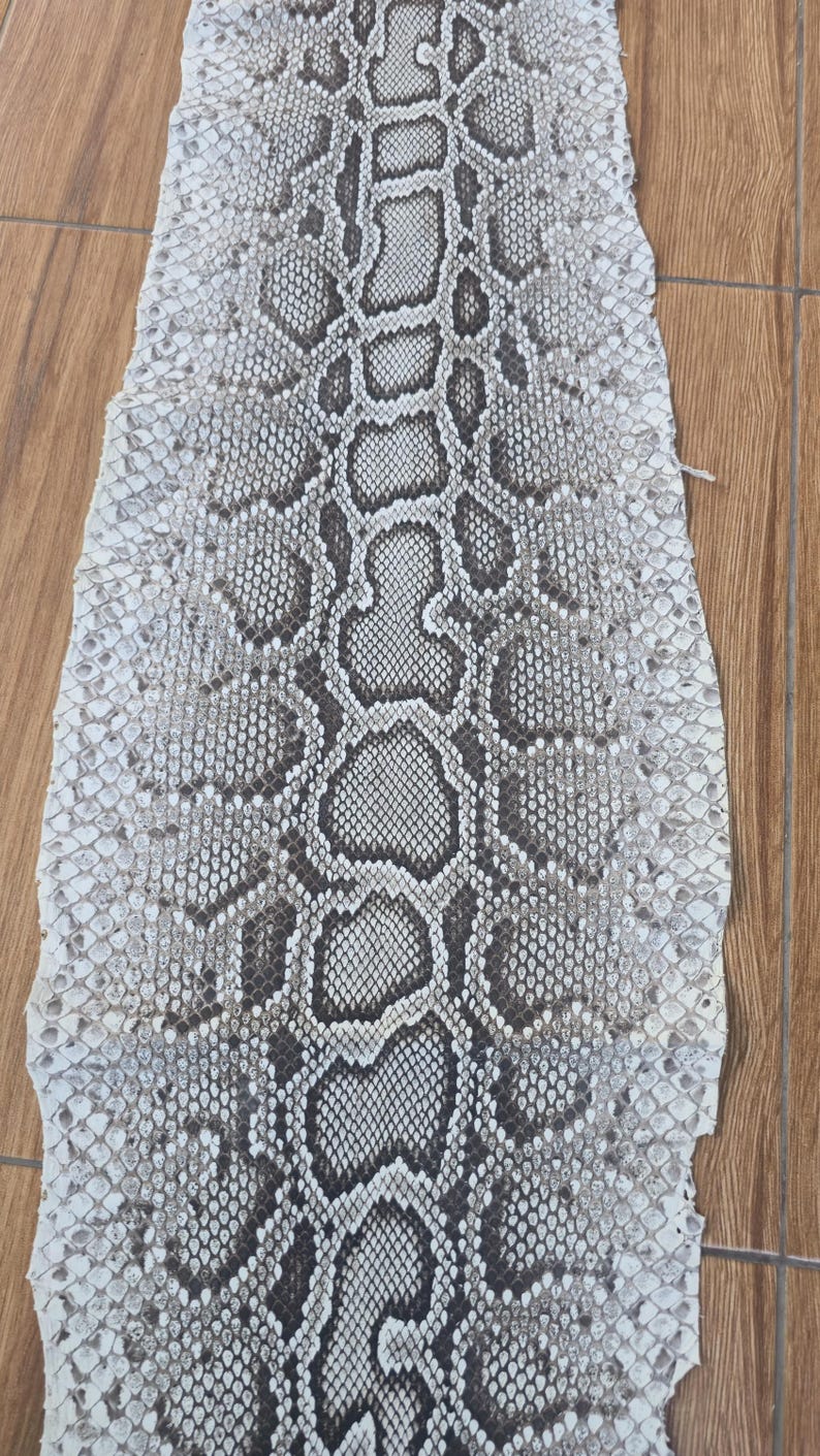 May include: A long, flat piece of snakeskin featuring a natural scale pattern in shades of white, cream, and dark brown. The skin displays a symmetrical, repeating diamond-like design running down the centre, with smaller scales along the edges.