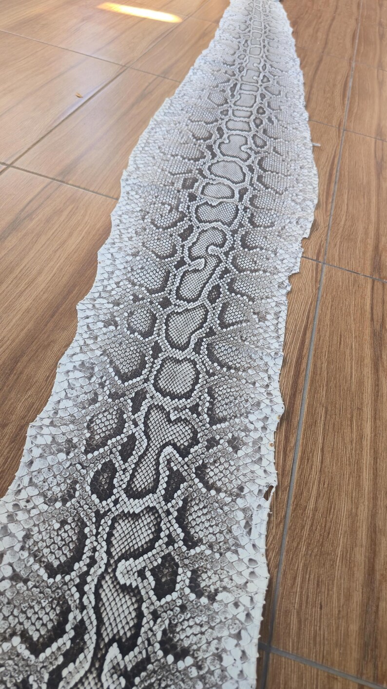 May include: A long, shed snake skin featuring a repeating pattern of dark grey and black blotches against a white, textured background. The scales are clearly defined, creating a natural, organic texture that runs the length of the specimen.