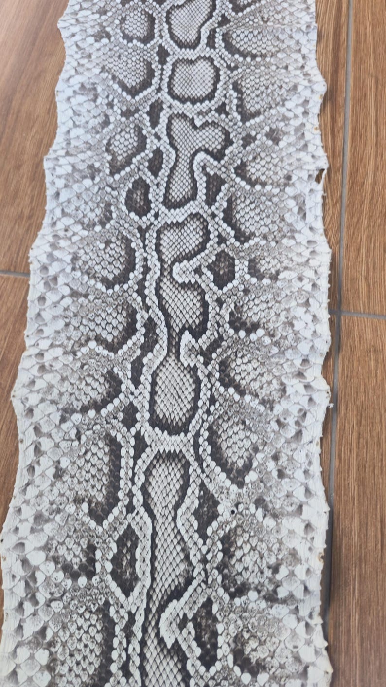 May include: A flat, elongated piece of snakeskin featuring a repeating pattern of dark grey and black diamond-shaped scales centred against a lighter, off-white background. The edges of the skin are irregular and textured with small, overlapping scales.