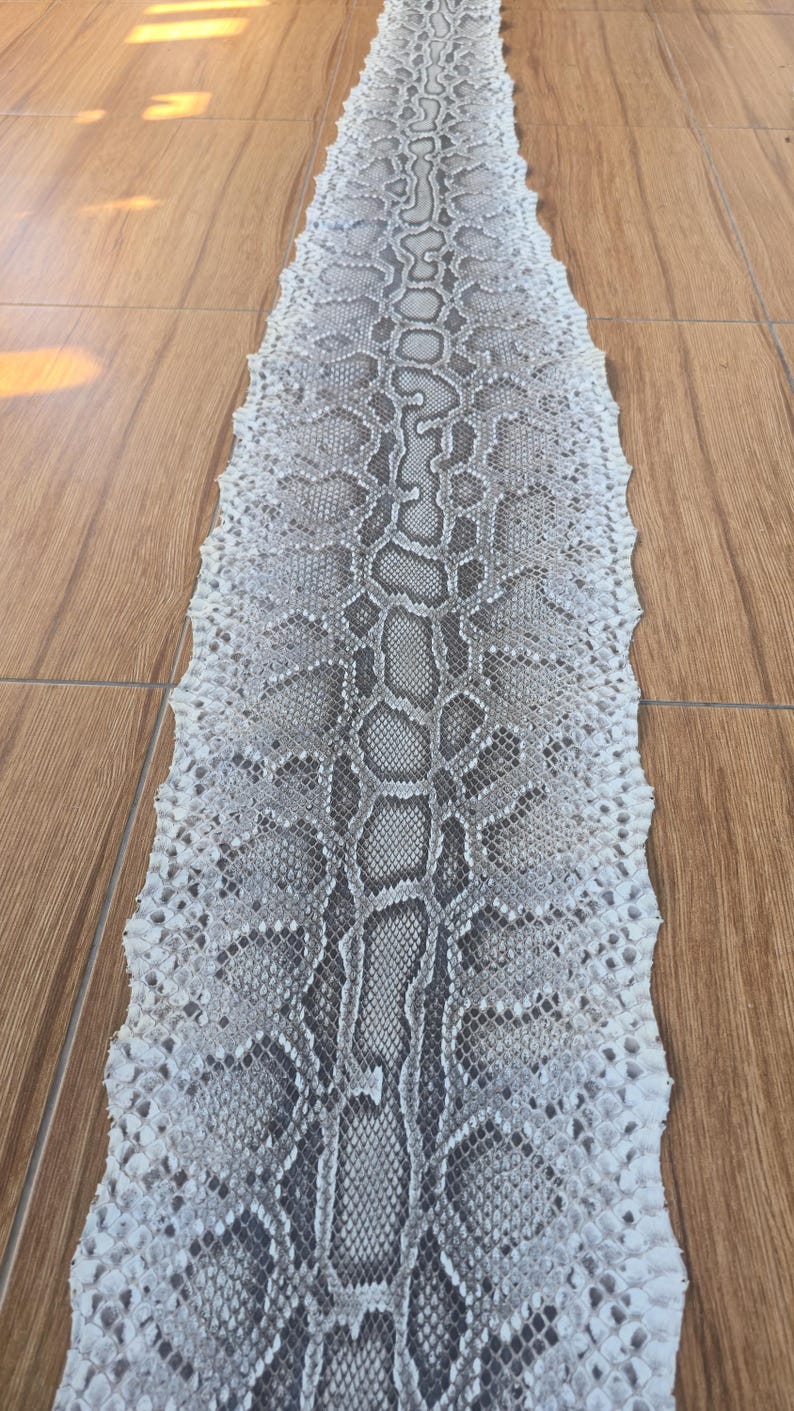May include: A long, flat, tanned snake skin featuring a repeating diamond-shaped pattern in shades of off-white, light gray, and dark charcoal. The texture is visibly scaled, with a jagged, uneven edge running along the entire length of the hide.