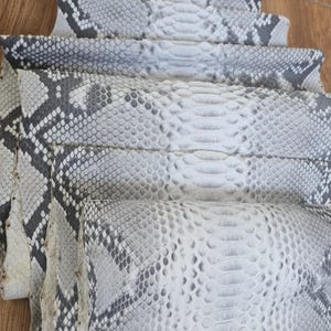 Echt python slangenleer: 149 inch echt leer nr. 12