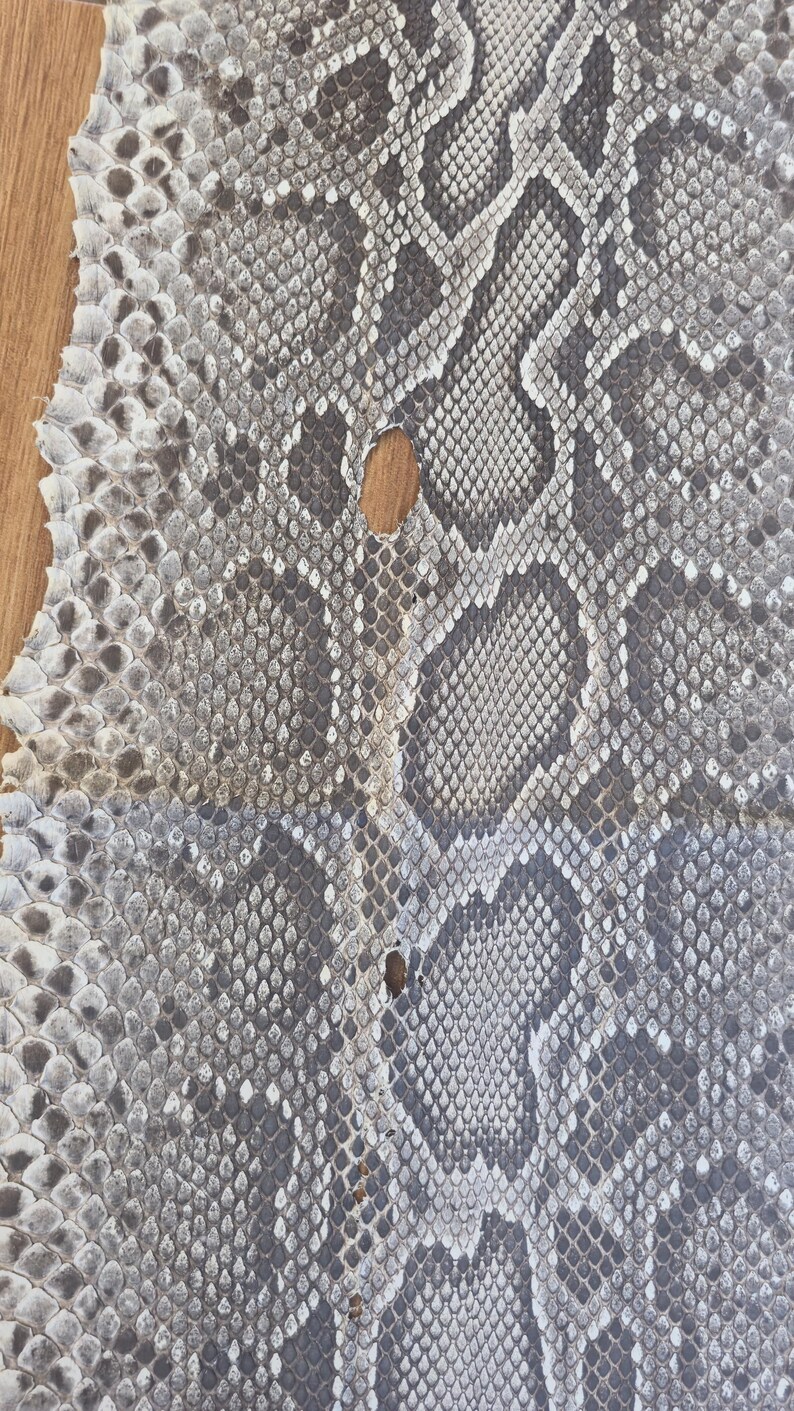 Peut inclure: Une pi&egrave;ce de cuir de peau de serpent rectangulaire et plate pr&eacute;sentant un motif d'&eacute;cailles naturel dans des tons de gris, blanc et anthracite. La peau affiche une texture en losanges r&eacute;p&eacute;titive sur sa surface, avec deux petits trous.