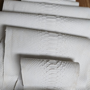 Op de afbeelding: Verschillende stukken wit slangenleer, sommige opgerold en andere plat, zijn gerangschikt op een houten oppervlak. Het leer heeft een textuur met een schubbenpatroon. De belichting benadrukt de textuur en de natuurlijke kleur van het materiaal.