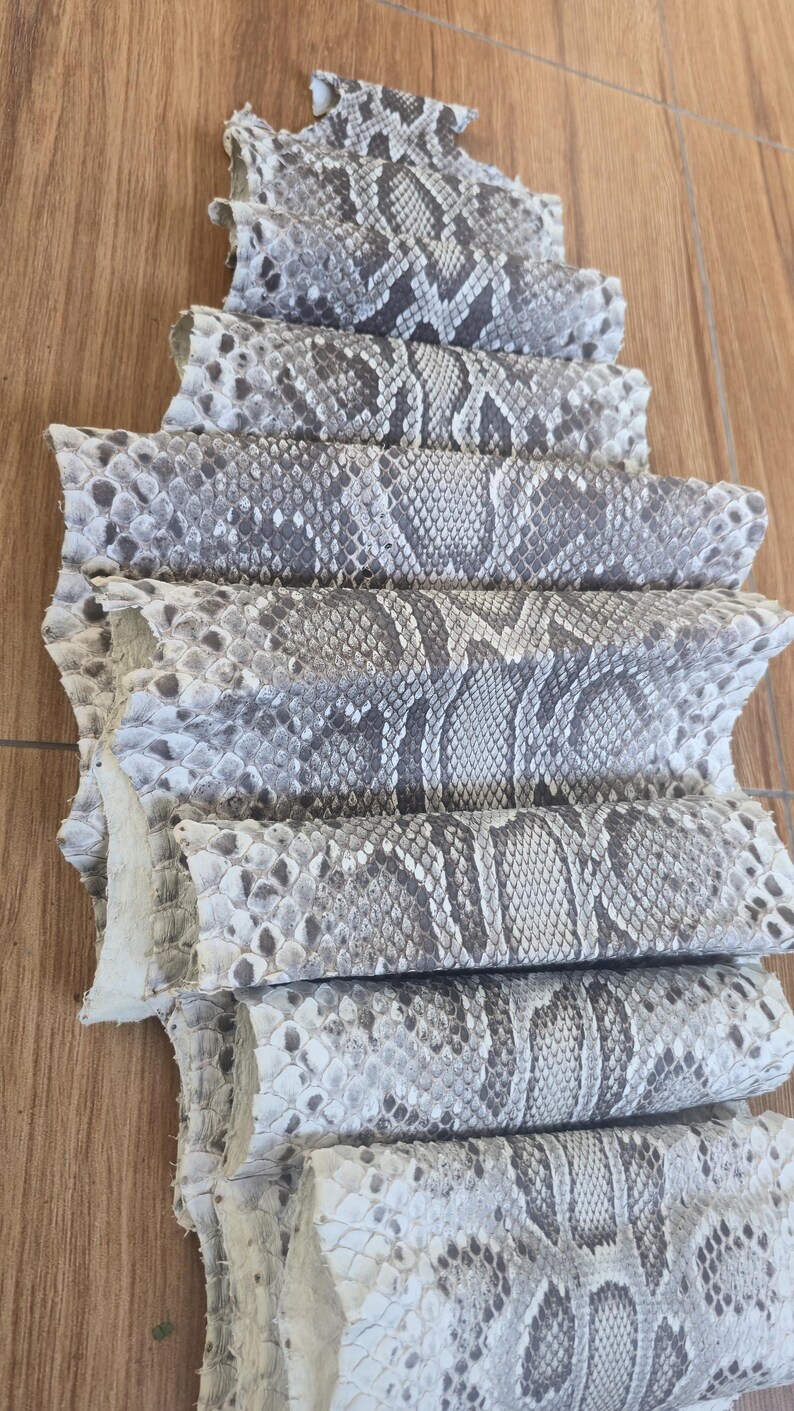 Peut inclure: Une s&eacute;rie de morceaux de cuir de peau de serpent naturel superpos&eacute;s, pr&eacute;sentant un motif d'&eacute;cailles r&eacute;p&eacute;titif dans des tons de gris, blanc et beige. Le mat&eacute;riau est dispos&eacute; en une formation verticale en gradins, mettant en valeur la texture.