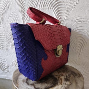 May include: A small, red and blue handbag made of snakeskin. The bag has a top handle and a clasp closure.