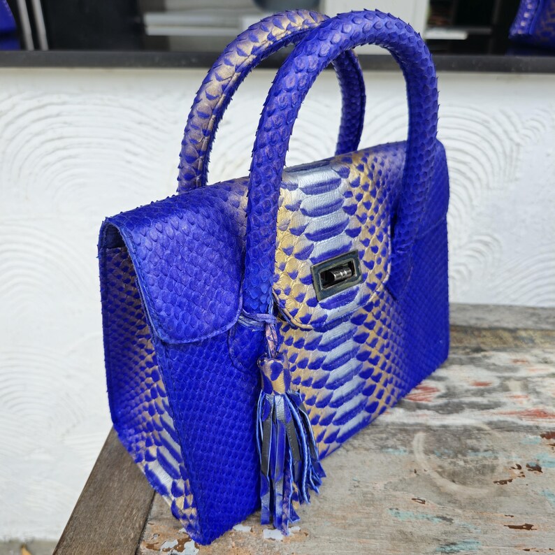 Pu&ograve; includere: Una piccola borsa a mano in pelle di serpente blu e oro con manico superiore e nappina. La borsa ha una chiusura argentata e un motivo a pelle di serpente.
