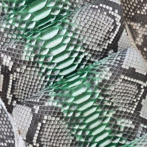 Genuine Python Snake Skin Hide: Tanned Leather for Bags, Jackets