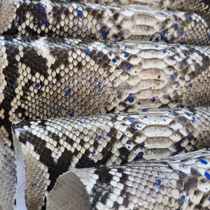 Python Snakeskin Hide: 133 inch Real Leather