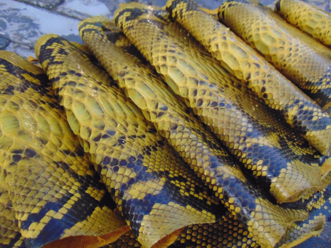 125-140 Inch Genuine Python Snake Skin Hide Real Leather Make Bags ...