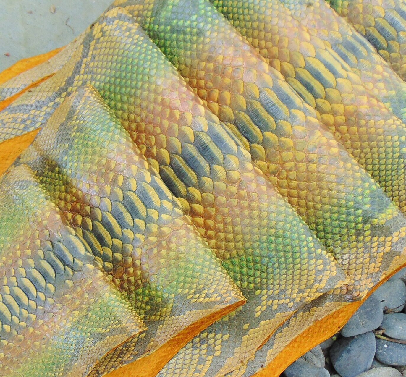 150 Inch Genuine Python Snake Skin Hide Real Leather Make Bags Jackets ...