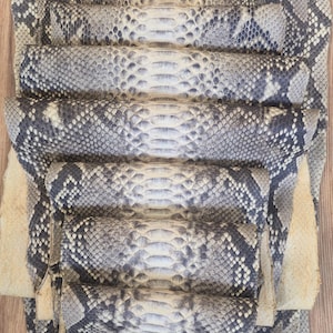 Genuine Python Snakeskin Hide: 135 inch Real Leather