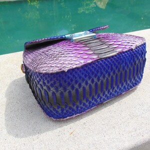 May include: A small, purple and blue snakeskin handbag with a silver clasp.