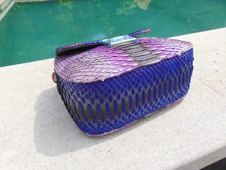May include: A small, purple and blue snakeskin handbag with a silver clasp.