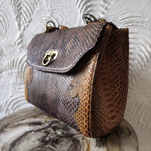 May include: A brown and tan snakeskin handbag with a brass clasp and a top handle.
