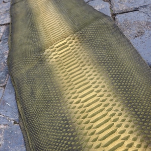 Peau de serpent : cuir véritable pour sacs, vestes