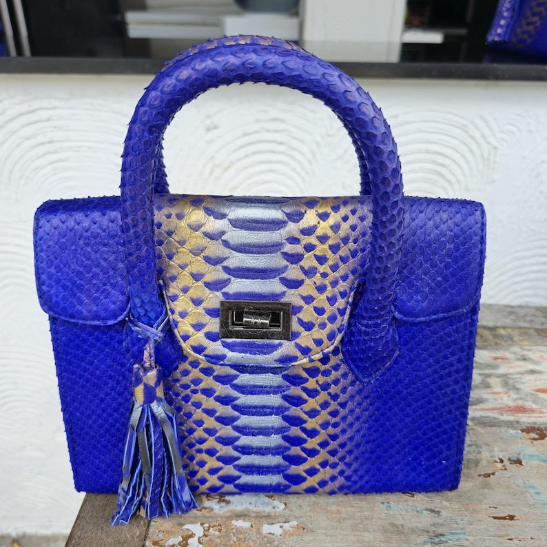 Pu&ograve; includere: Una piccola borsa a mano blu con un motivo a pelle di serpente dorata e argentata. La borsa ha un manico superiore e un fiocco.