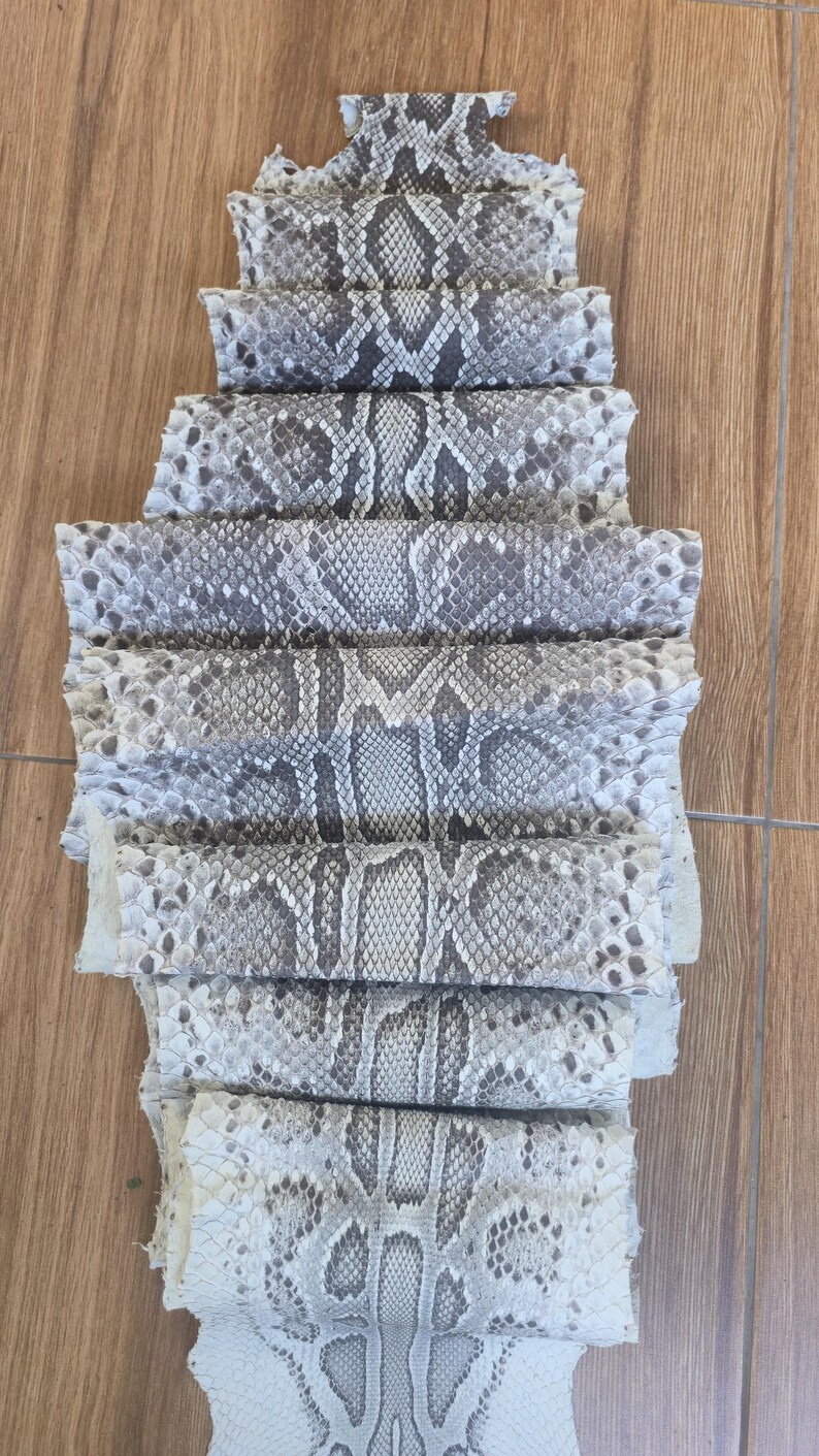 Peut inclure: Une pi&egrave;ce de cuir de serpent plate et allong&eacute;e pr&eacute;sentant un motif d'&eacute;cailles naturel dans des tons blanc cass&eacute;, gris clair et gris anthracite. La peau est pli&eacute;e en plusieurs sections horizontales, affichant une texture en losanges.