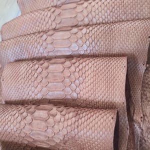 Genuine Python Snakeskin Hide: 152 inch Real Leather  no.7