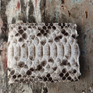 Cartera plegable exclusiva de piel de serpiente pitón auténtica para hombre (edición limitada)