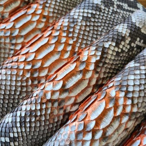 Genuine Python Snake Skin Hide: Tanned Leather for Bags, Jackets