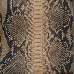 Echt Python Schlangenhaut verstecken echtes Leder machen Taschen Jacken ect. echte Schlangenhaut authentische Fellhaut