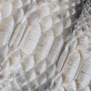 Genuine Python Snakeskin Hide: Tanned Leather for Bags, Jackets, Crafts