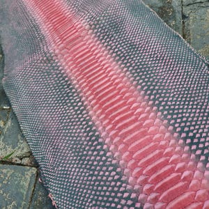 Python Schlangenhauthaut: Lederhandwerk Versorgung