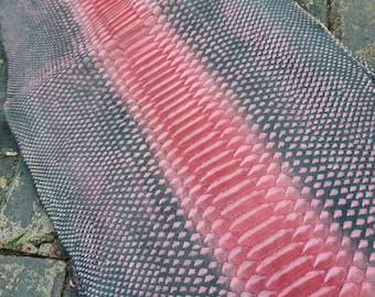 Peau de python : artisanat du cuir