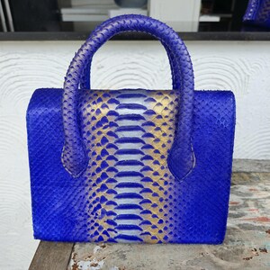 Pu&ograve; includere: Una piccola borsa a mano blu in pelle di serpente con dettagli dorati. La borsa ha un manico superiore e una forma squadrata.