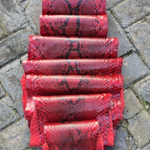 Piel de serpiente pitón real de 165 pulgadas: cuero genuino para bolsos, chaquetas y más 210
