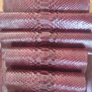 Véritable peau de python : cuir véritable de 146 pouces