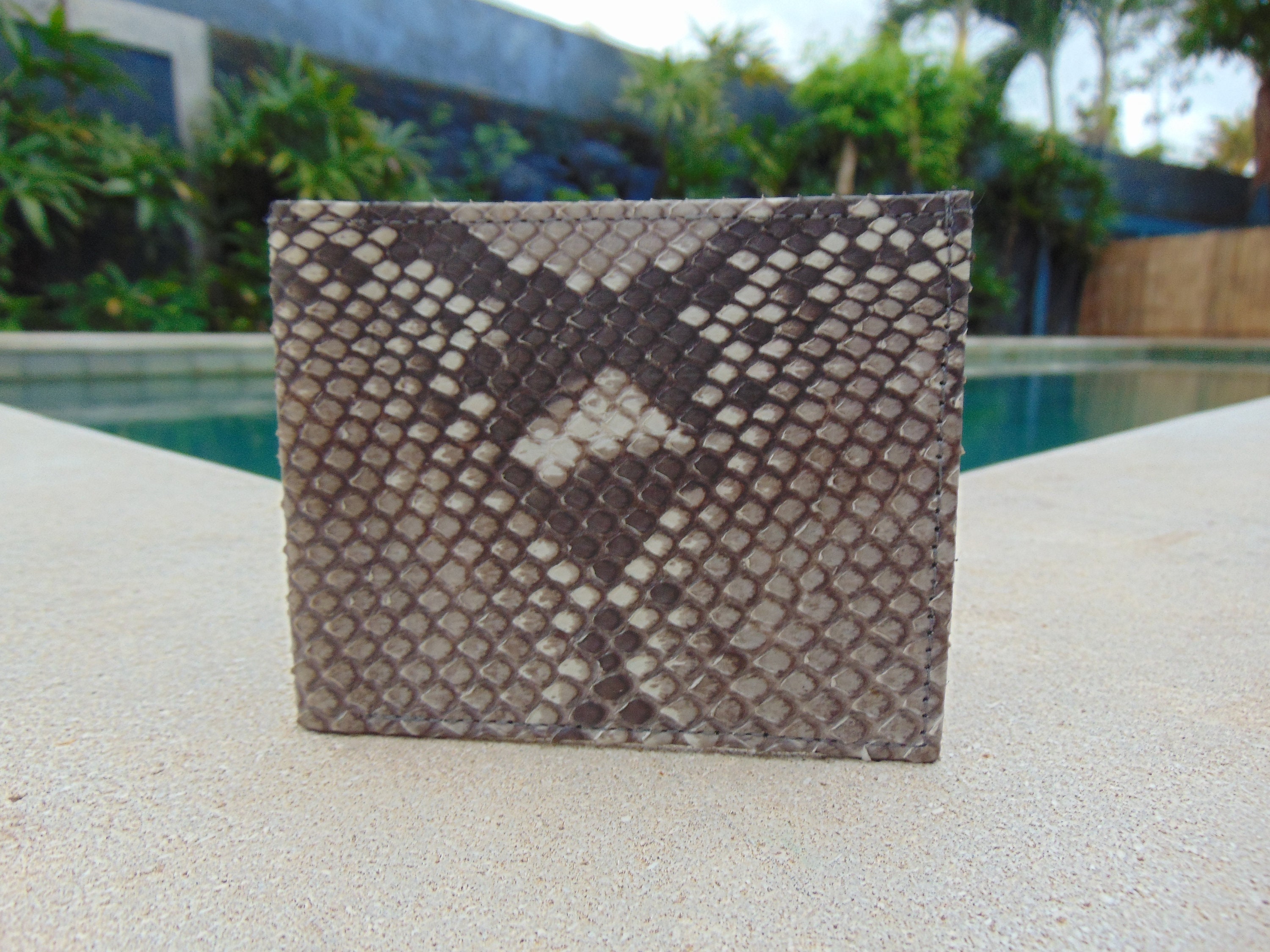 guess python wallet